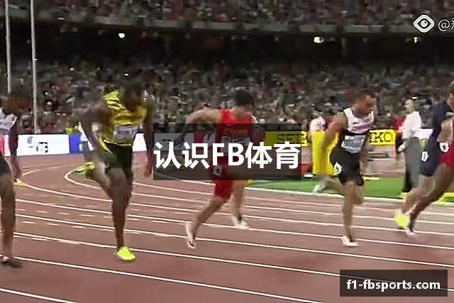 认识FB体育